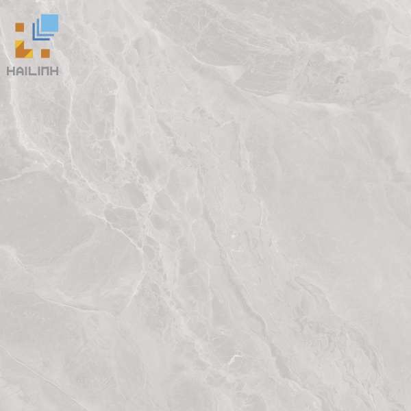 Ảnh Gạch Viglacera SH-GP601 1