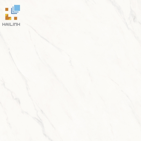 Ảnh Gạch Viglacera SH-GP606 1