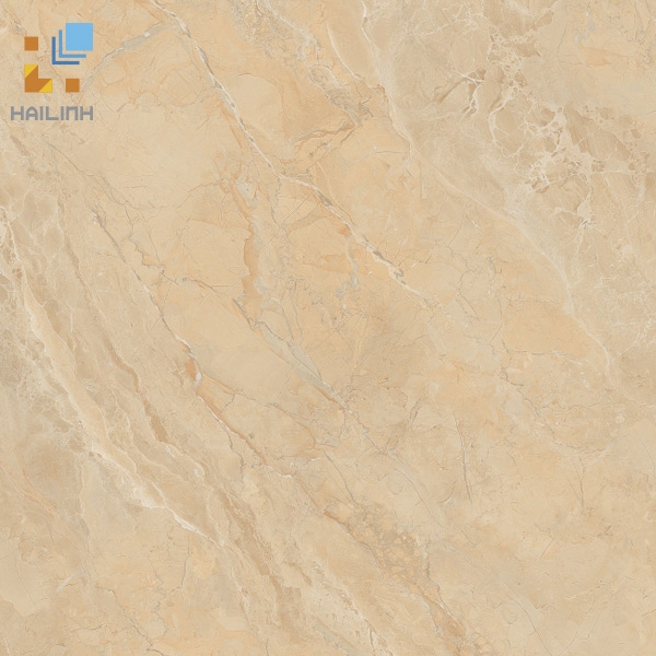 Ảnh Gạch Viglacera SH-GP607 1