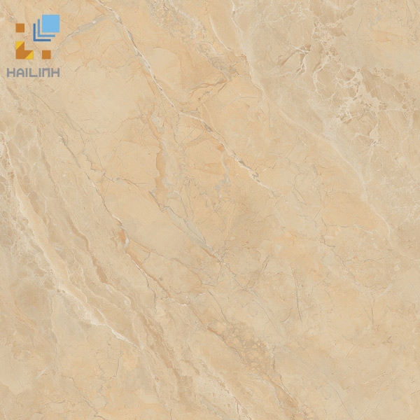 Ảnh Gạch Viglacera SH-GP607 1