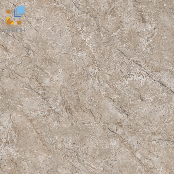 Ảnh Gạch Viglacera CL-GP6606 1