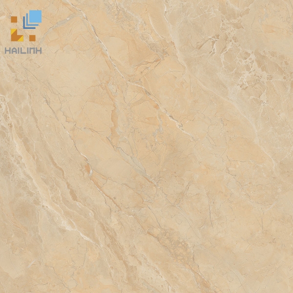 Gạch Viglacera SH-GP807