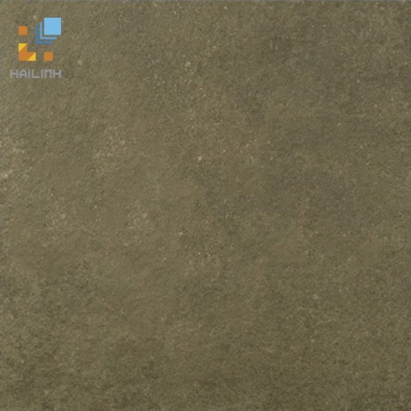 Ảnh Gạch Viglacera PH 6601 1