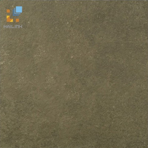 Ảnh Gạch Viglacera PH 6601 1
