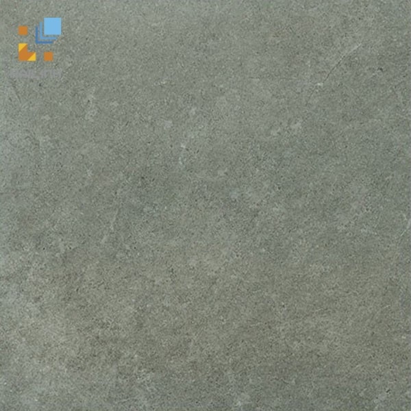 Ảnh Gạch Viglacera Platinum PT 20-G203 1