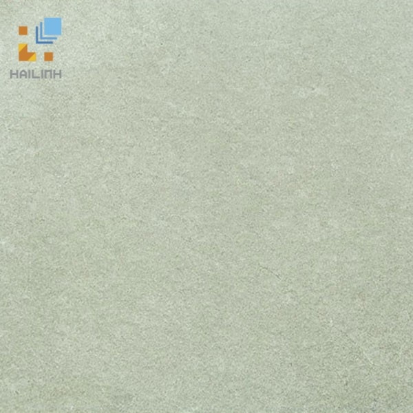 Ảnh Gạch Viglacera Platinum PT 20-G600 1