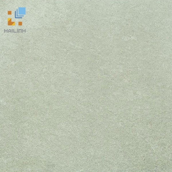 Ảnh Gạch Viglacera Platinum PT 20-G600 1