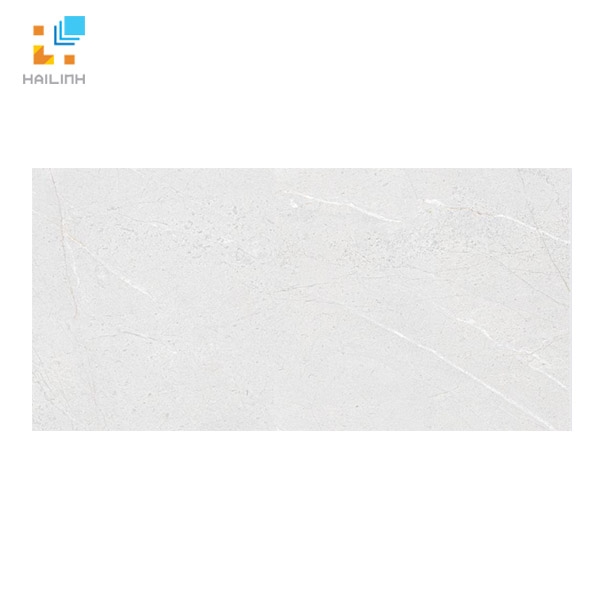 Ảnh Gạch Viglacera SH-GP4805 vân đá xám 1