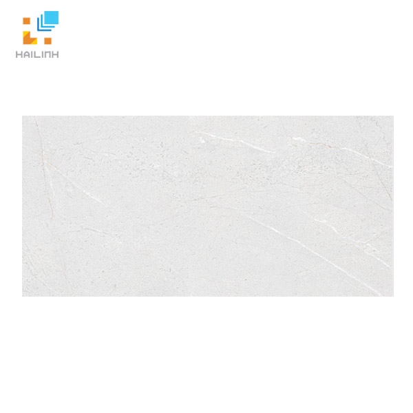 Ảnh Gạch Viglacera SH-GP4805 vân đá xám 1