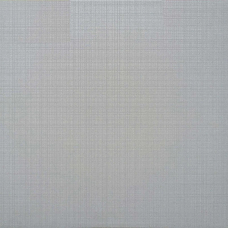 Ảnh Gạch Viglacera N3007 1