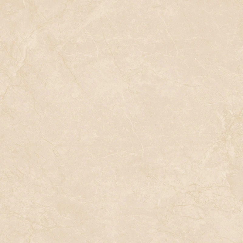 Ảnh Gạch Viglacera VHP8802 1