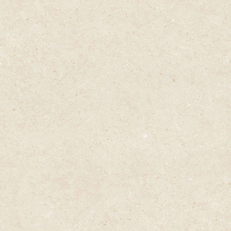 Ảnh Gạch Viglacera VHP8810 1