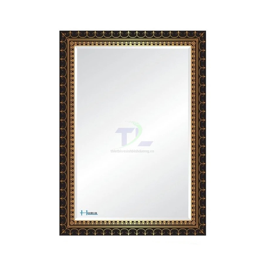 Ảnh Gương nhà tắm Hobig HBS1-758 1