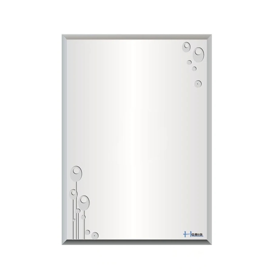 Ảnh Gương nhà tắm Hobig HBS5-011 1