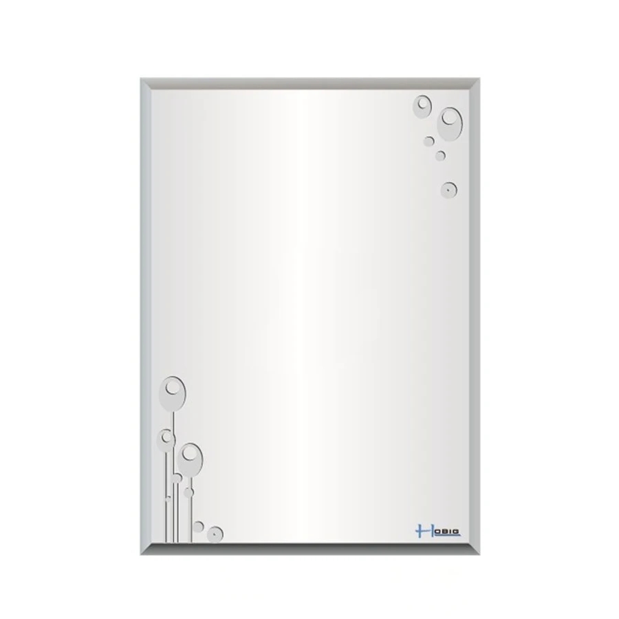Ảnh Gương nhà tắm Hobig HBS5-011 1