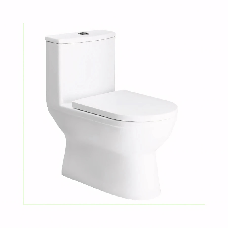 Ảnh Bồn cầu 1 khối Moen SW3117C1 1