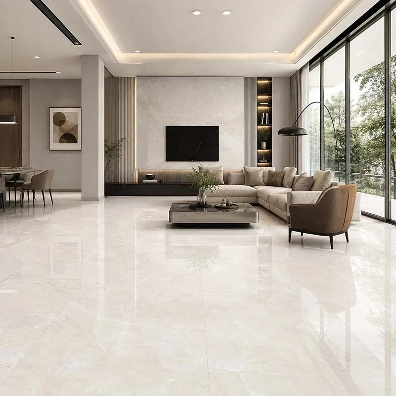 Ảnh Gạch Ấn Độ CSI100206B 1