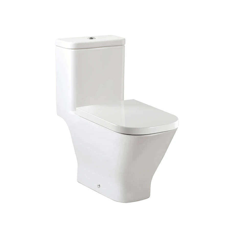 Ảnh Bồn cầu 1 khối Roca A349477000 1