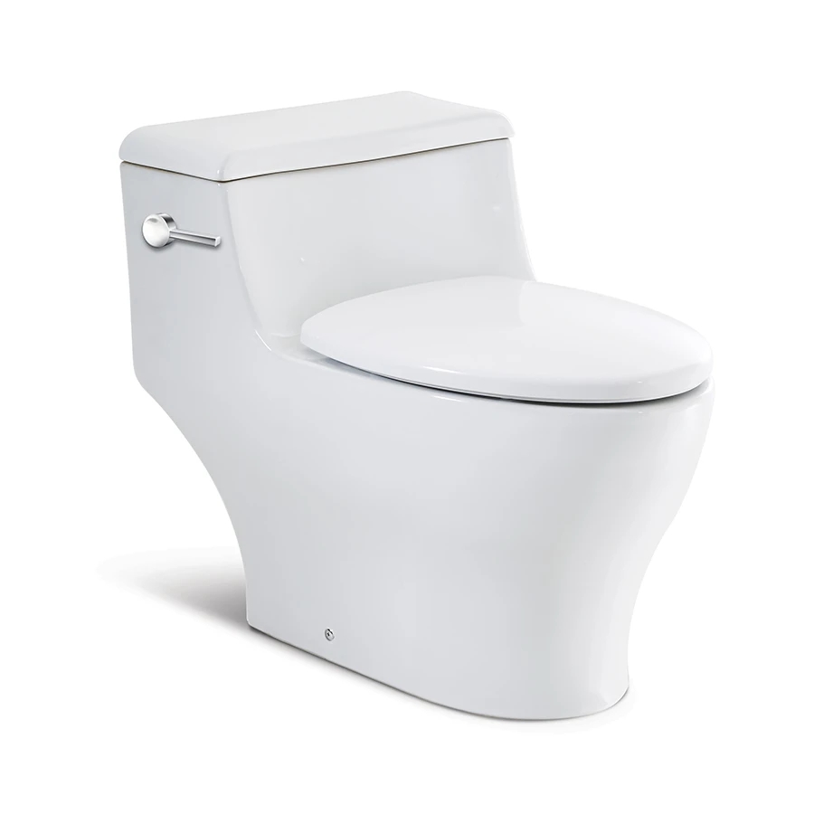 Ảnh Bồn cầu 1 khối Roca A349487000 1