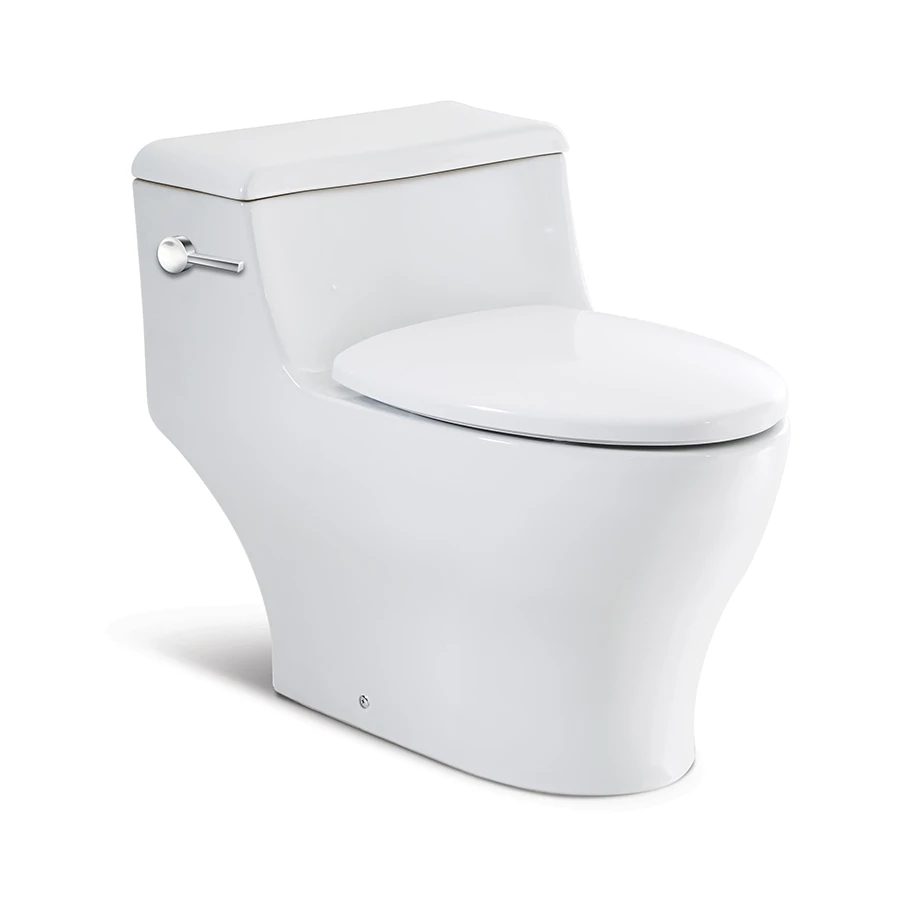 Ảnh Bồn cầu 1 khối Roca A349487000 1