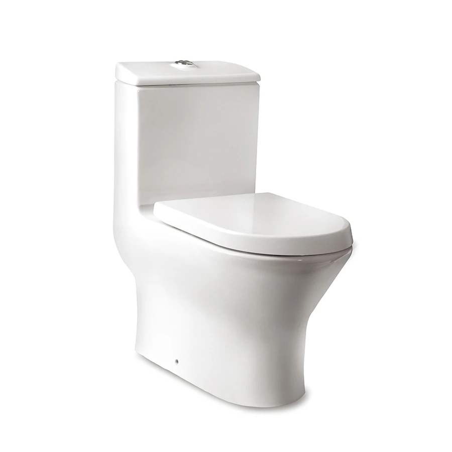 Ảnh Bồn cầu 1 khối Roca Z349617000 1