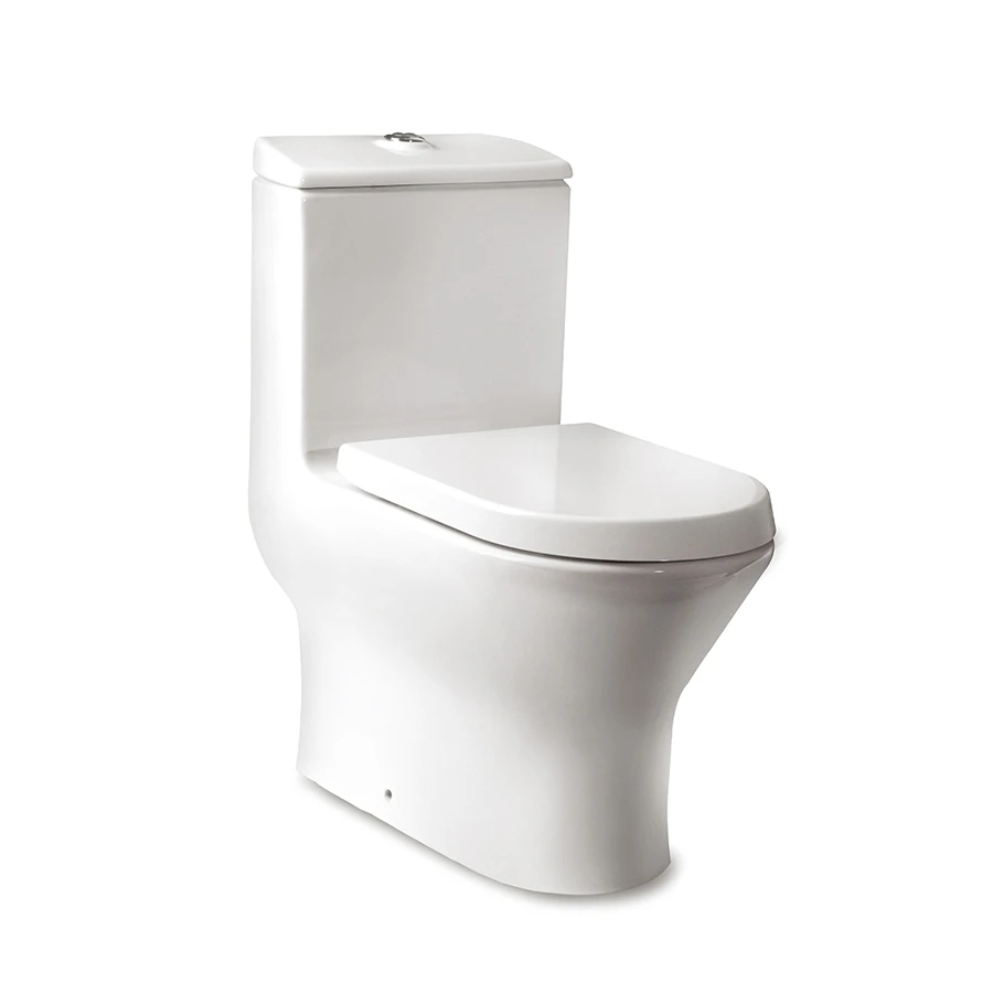 Ảnh Bồn cầu 1 khối Roca Z349617000 1