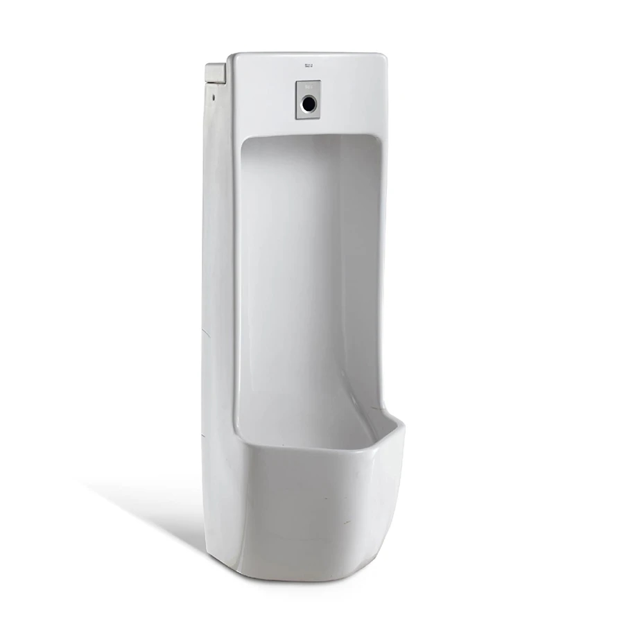 Ảnh Bồn tiểu nam đặt sàn Roca A35960E000 1