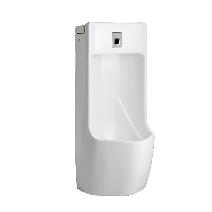 Ảnh Bồn tiểu nam đặt sàn Roca A35960Q000 1