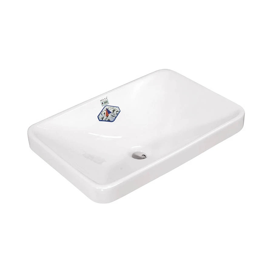 Ảnh Chậu rửa dương bàn Selta ST010 1