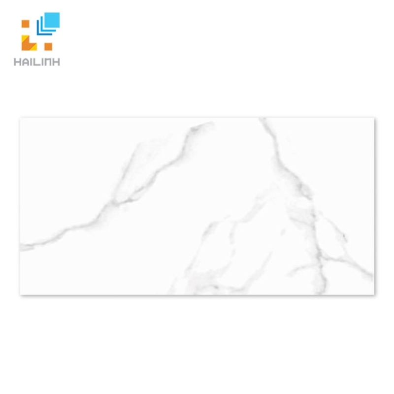 Ảnh Gạch TAICERA G63945 1