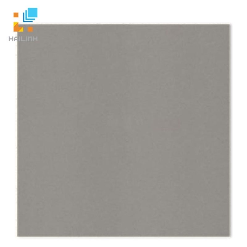 Ảnh Gạch Taicera G68001 1