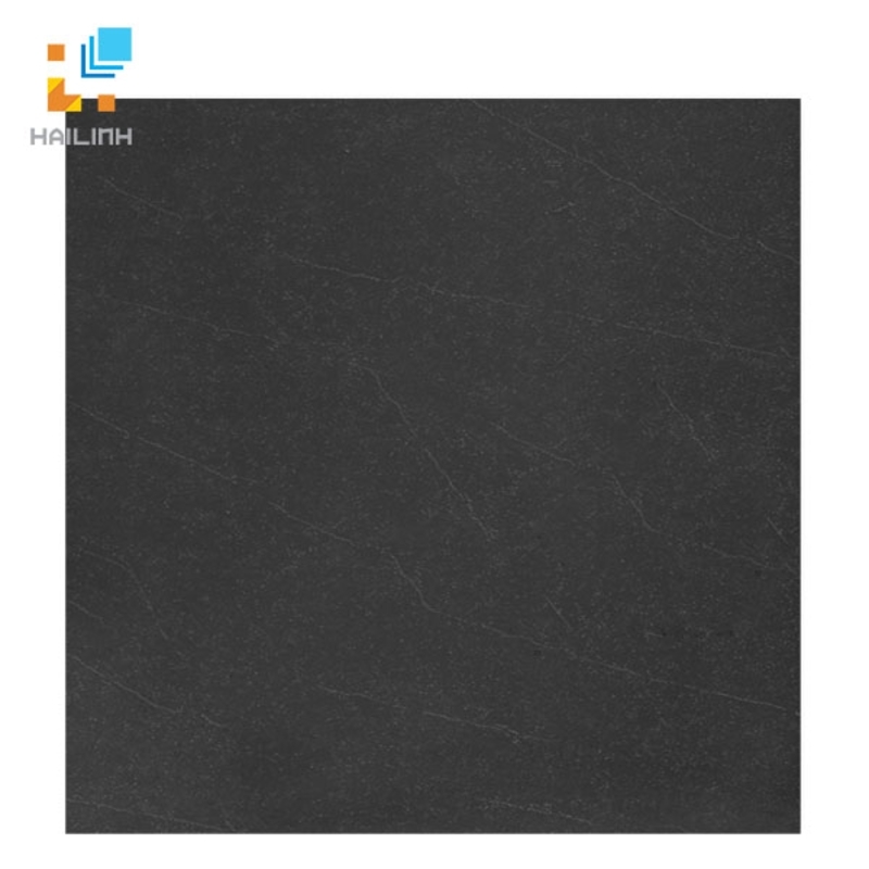 Ảnh Gạch Taicera G68919 1