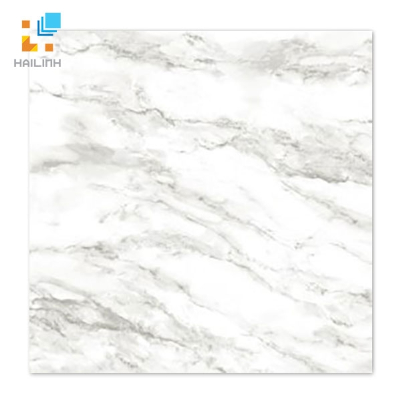 Ảnh Gạch Taicera G68953 1