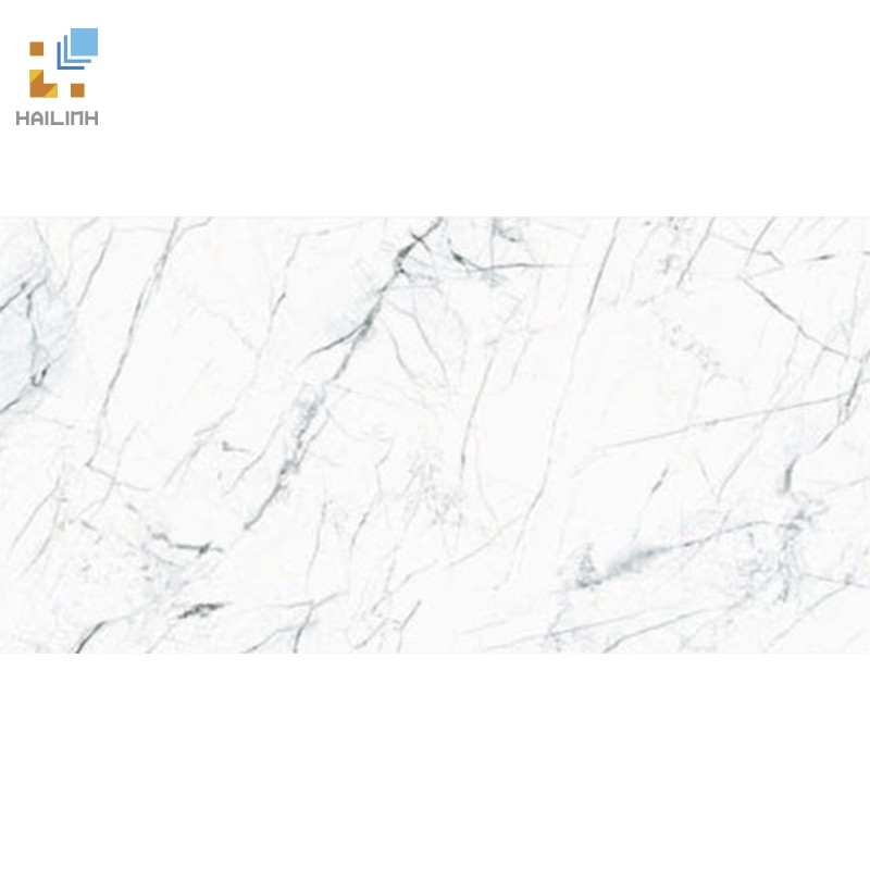 Ảnh Gạch TAICERA G63905 1