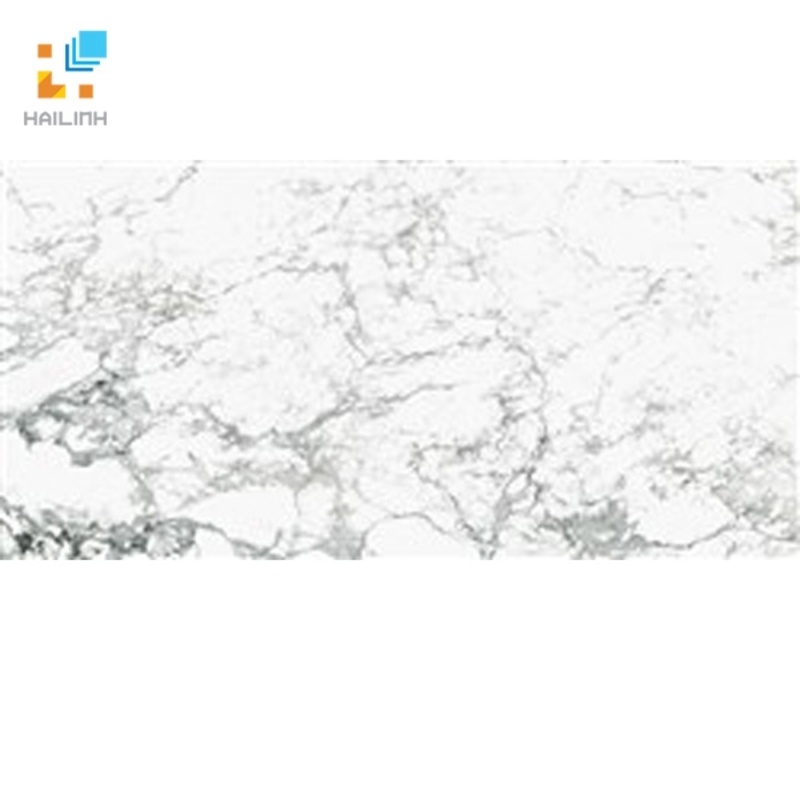 Ảnh Gạch Taicera G63965 1