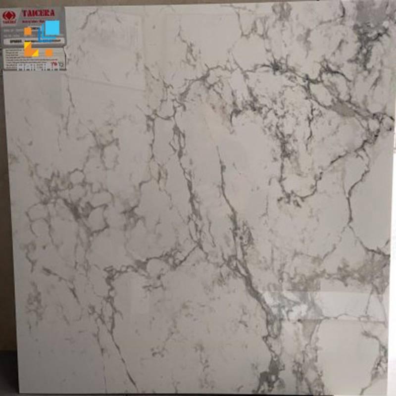 Ảnh Gạch Taicera GP68965 1