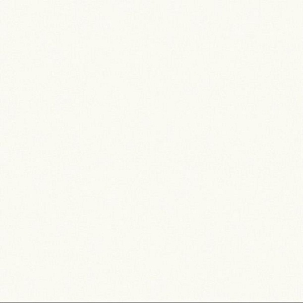 Ảnh Gạch Taicera P67615N 1