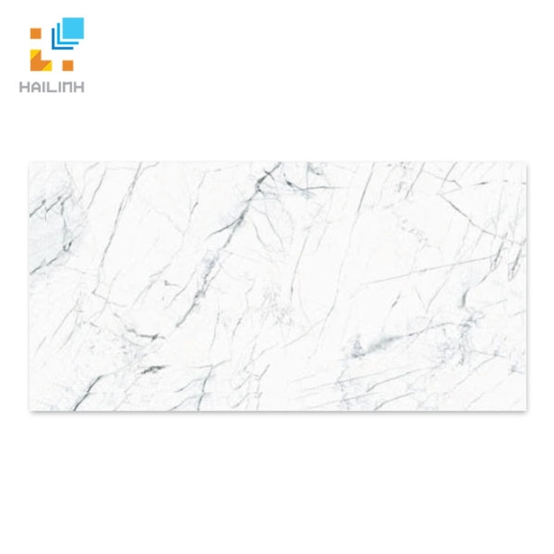 Ảnh Gạch TAICERA GP63905 1