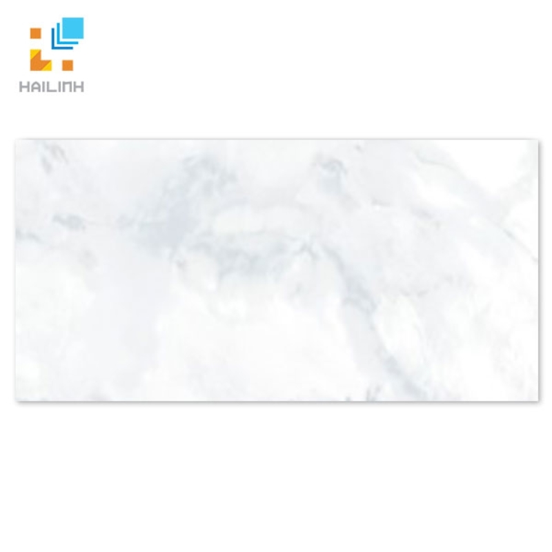 Ảnh Gạch Taicera GP63955 1