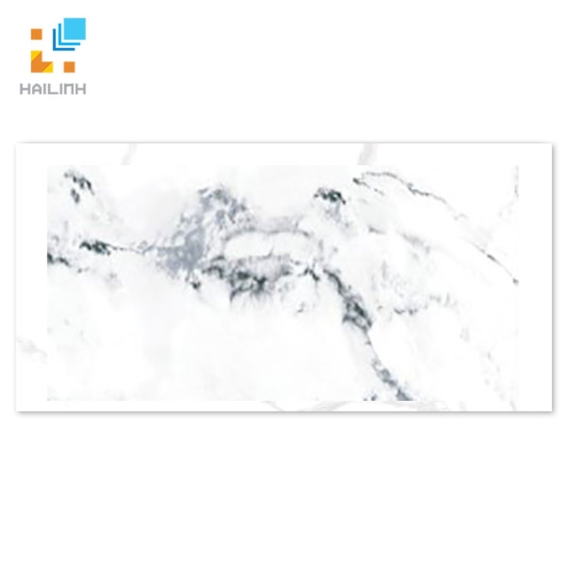 Ảnh Gạch Taicera GP63957 1