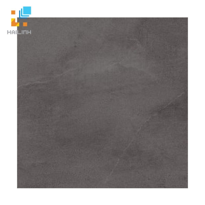 Ảnh Gạch Taicera GP68074 1