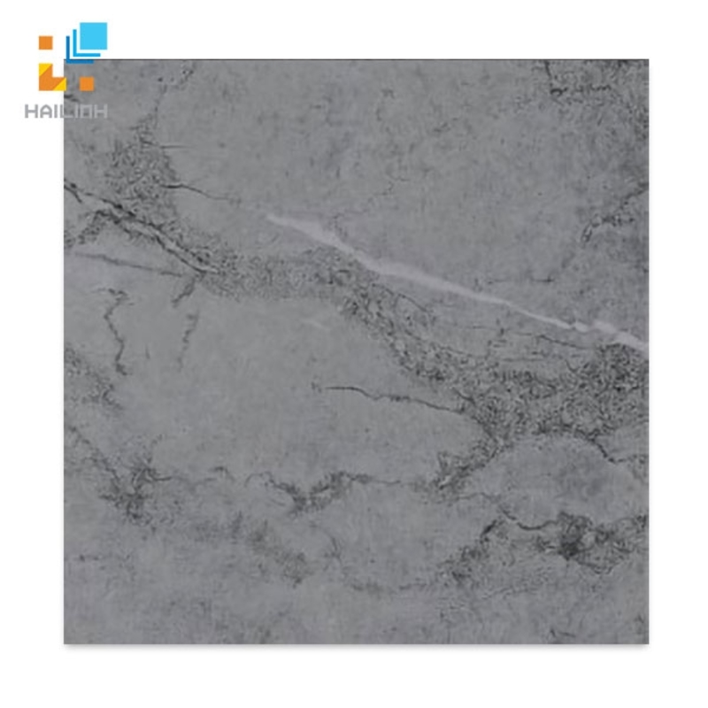 Ảnh Gạch Taicera GP68818 1