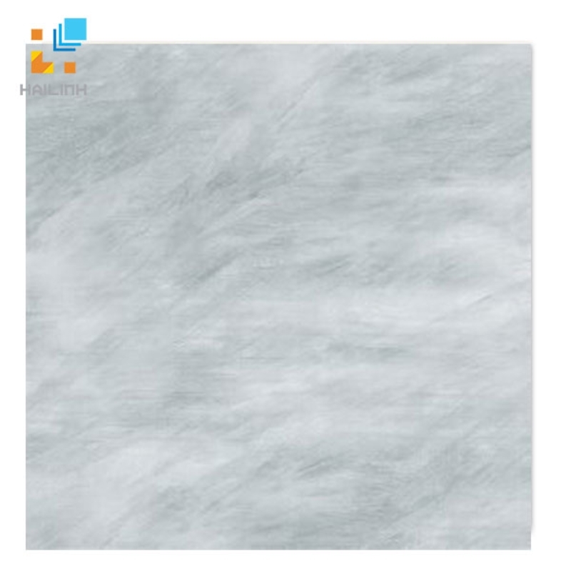 Ảnh Gạch Taicera GP68838 1