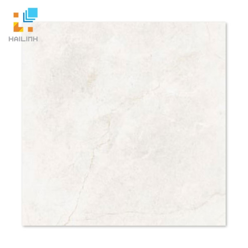 Ảnh Gạch Taicera GP68845 1