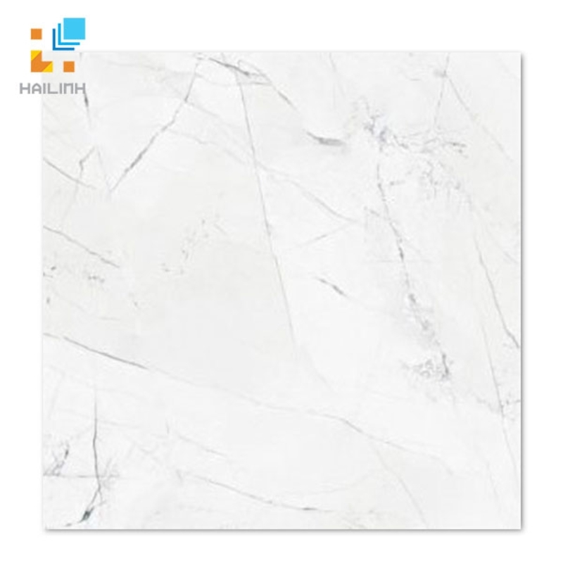 Ảnh Gạch Taicera GP68905 1