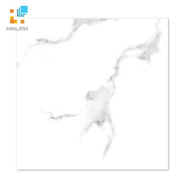 Ảnh Gạch Taicera GP68945 1