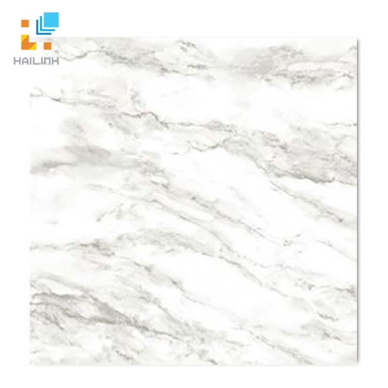 Ảnh Gạch Taicera GP68953 1