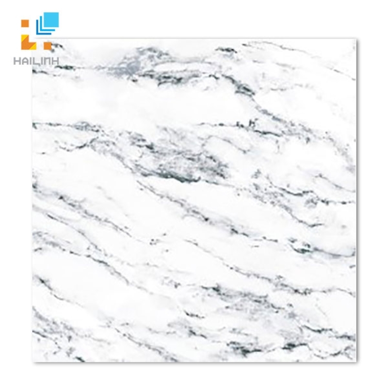 Ảnh Gạch Taicera GP68957 1