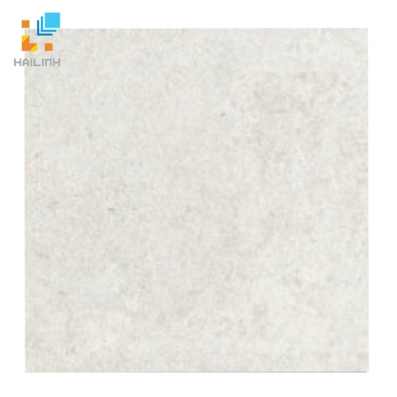 Ảnh Gạch TAICERA P6060 STBL 1