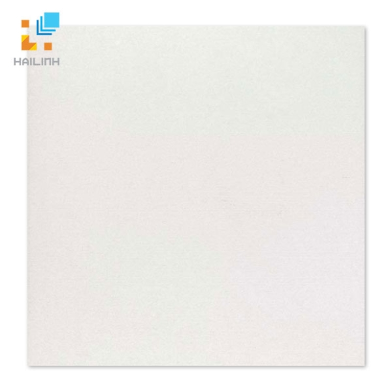 Ảnh Gạch TAICERA P6060 TRBL 1